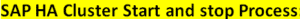 SAP HA Cluster start and stop process SAP Performance issue and Monitoring