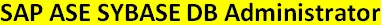 Sybase DB Command