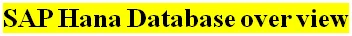 SAP Hana Database over view