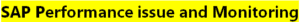 SAP Performance issue and Monitoring